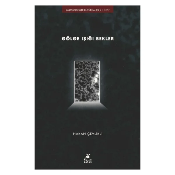 Gölge Işığı Bekler - Hakan Çevlikli - Görsel 2