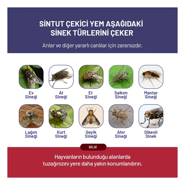 8 adet 25gr Sintut Karasinek Tuzağı için Çekici Yem 200 Gr. - Görsel 5