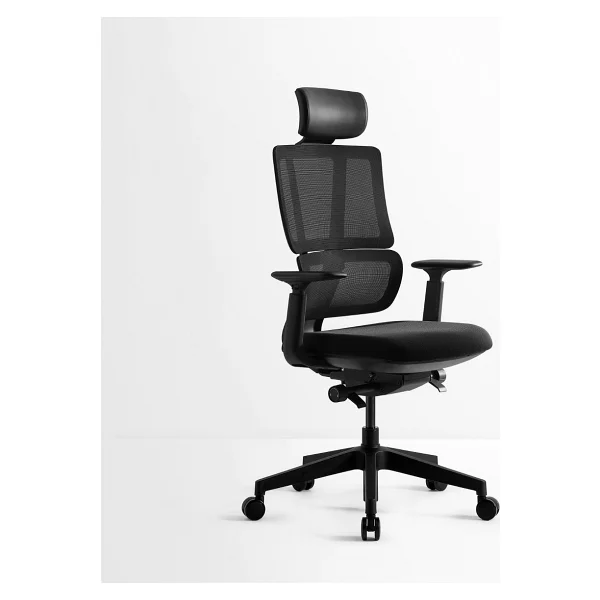 Lempea Ofis - Yönetici Koltuğu - Antrasit - Siyah - Görsel 4