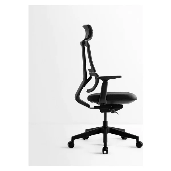 Lempea Ofis - Yönetici Koltuğu - Antrasit - Siyah - Görsel 2