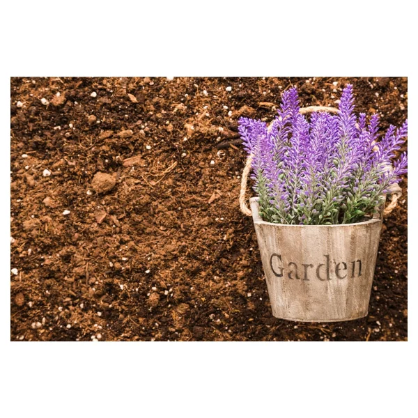 Tunç Botanik Çiçek Toprağı 3 Lt - 7'li Özel Karışım (Akıllı Gübre Katkılı) - Görsel 5