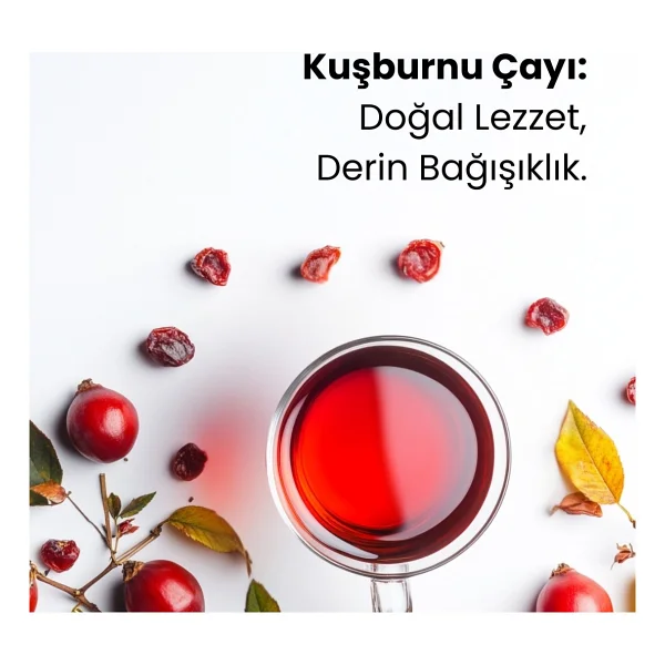 Ochay Kuşburnu 100 gr Bitki Çayı - Görsel 2