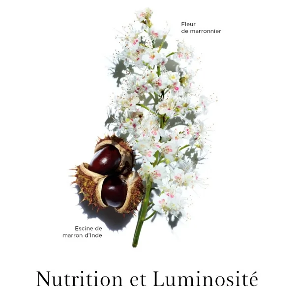 Clarins Clr Nutri-Lumiere Night Cream - Gece Bakım Kremi 50 Ml - Görsel 8