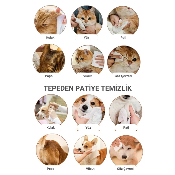 Greenwich Hijyen Mendili 50 Adet Yüz Göz Kulak Ağız Pati Arka Bölge Temizliği Tek Kullanımlık Kedi Köpek - Görsel 3