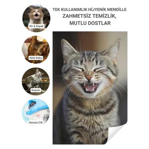 Greenwich Hijyen Mendili 50 Adet Yüz Göz Kulak Ağız Pati Arka Bölge Temizliği Tek Kullanımlık Kedi Köpek - Görsel 6