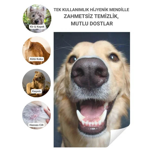 Greenwich Hijyen Mendili 50 Adet Yüz Göz Kulak Ağız Pati Arka Bölge Temizliği Tek Kullanımlık Kedi Köpek - Görsel 7