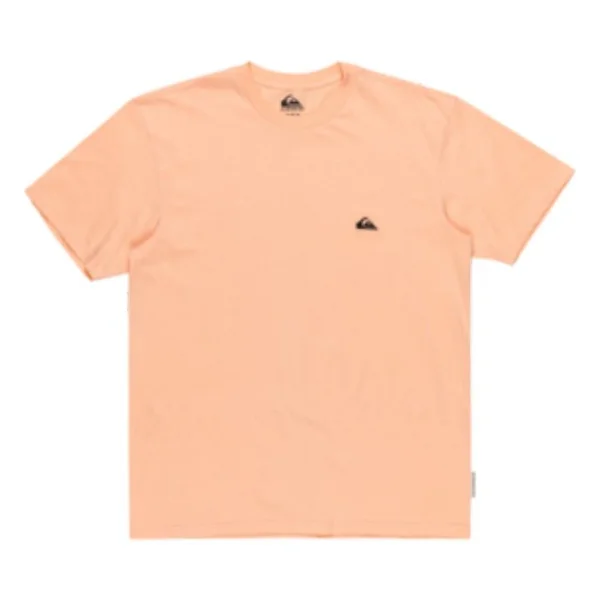 Quiksilver Basic Young EQYZT07711 Kısa Kollu Bisiklet Yaka Erkek Tişört - Görsel 9