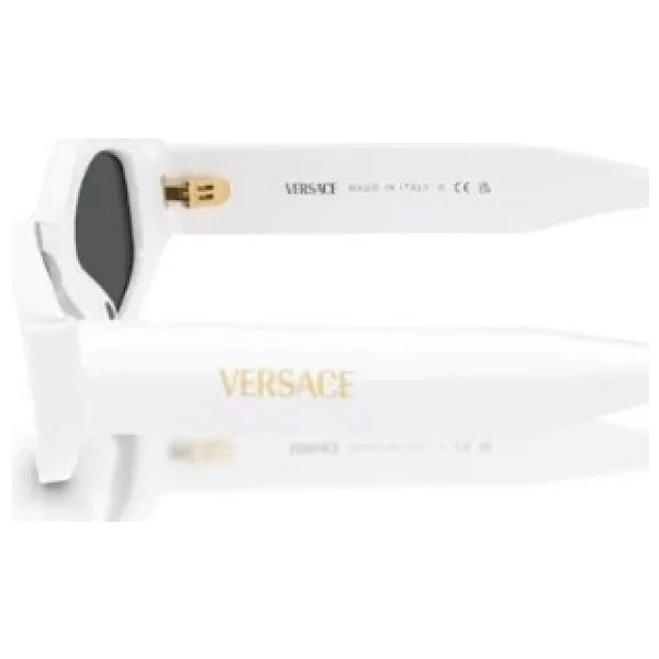 Versace Signature VE4487 Kadın Güneş Gözlüğü - Görsel 4