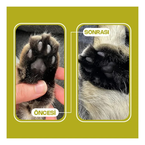 Olivacat Zeytin Çekirdeğinden Üretilen Aktif Karbonlu Tozsuz Doğal Kedi Kumu 8 L 3 Adet - Görsel 5