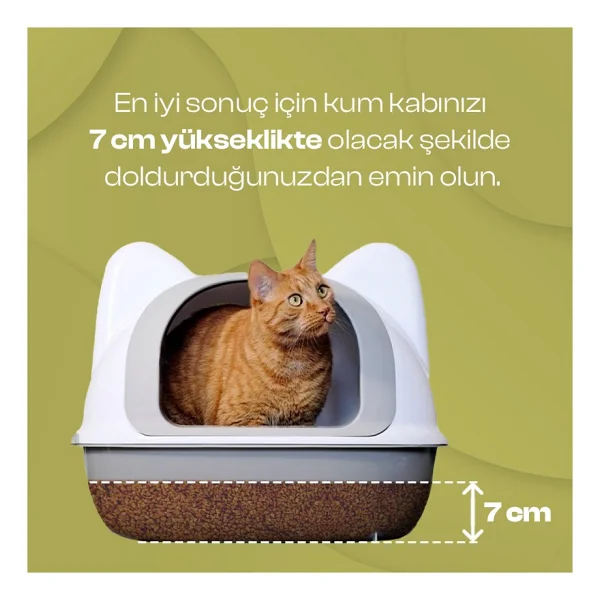 Olivacat Zeytin Çekirdeğinden Üretilen Aktif Karbonlu Tozsuz Doğal Kedi Kumu 8 L 3 Adet - Görsel 7