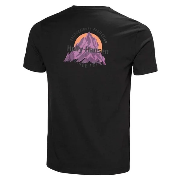 Helly Hansen Core Graphic T 2.0 HHA.54599 Kısa Kollu Bisiklet Yaka Erkek Tişört - Görsel 5