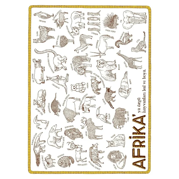 Atlas Etkinlik Kitabı - Aleksandra Mizielinska - Görsel 10