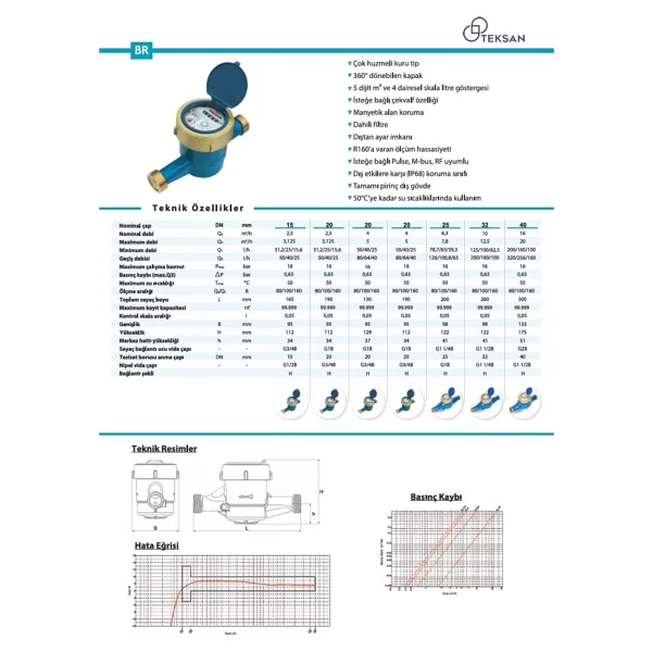 Teksan Dn 50 2 300 mm Rekorlu Soğuk Su Sayacı (Prinç Gövdeli) + Pulse Çıkış (Rekor Hariç) - Görsel 2