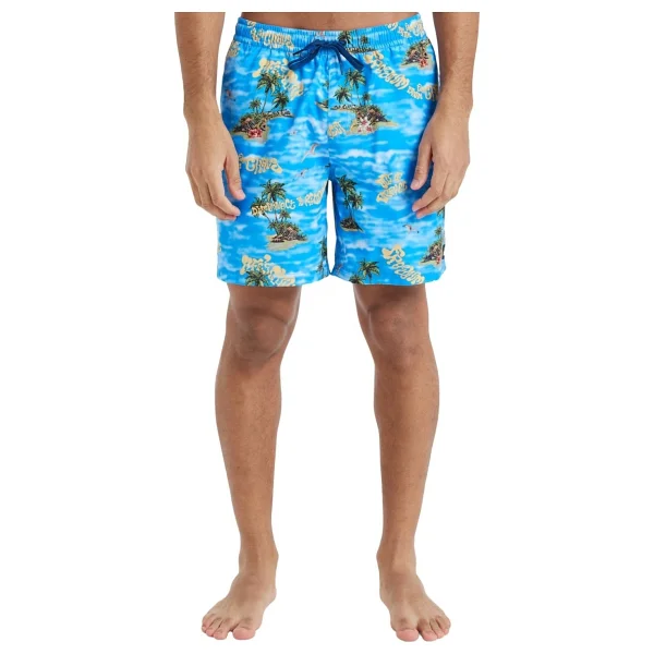 Quiksilver Everyday Straight Volley 17" EQYJV04100 Erkek Deniz Şortu - Görsel 7