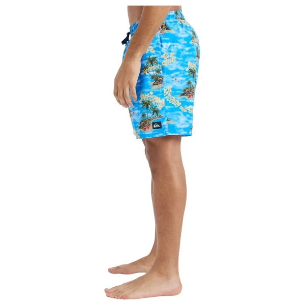 Quiksilver Everyday Straight Volley 17" EQYJV04100 Erkek Deniz Şortu - Görsel 2