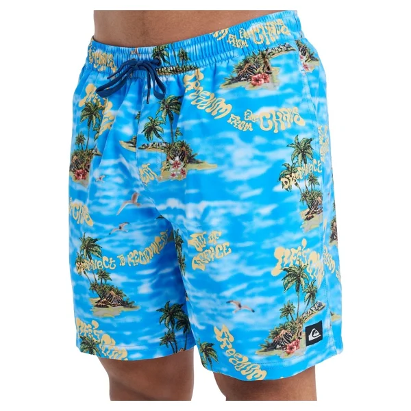 Quiksilver Everyday Straight Volley 17" EQYJV04100 Erkek Deniz Şortu - Görsel 3
