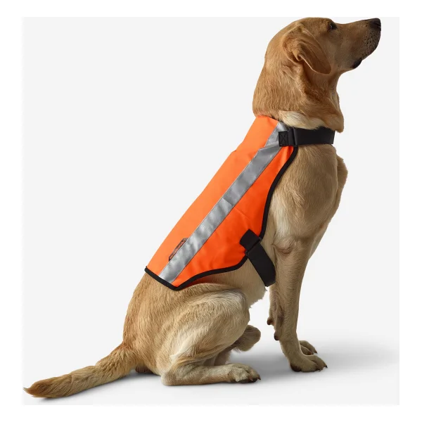 Solognac Köpek Yeleği - Avcılık ve Doğa Gözlemi - Turuncu - 100 - Görsel 2