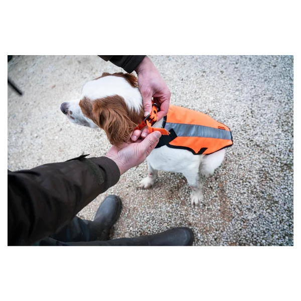 Solognac Köpek Yeleği - Avcılık ve Doğa Gözlemi - Turuncu - 100 - Görsel 10