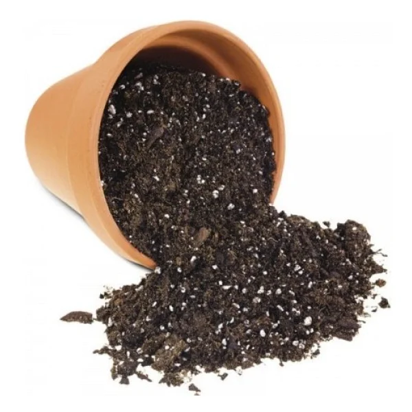 TNC Garden Groups Organik Bitki Toprağı 2.5 Litre - Görsel 3