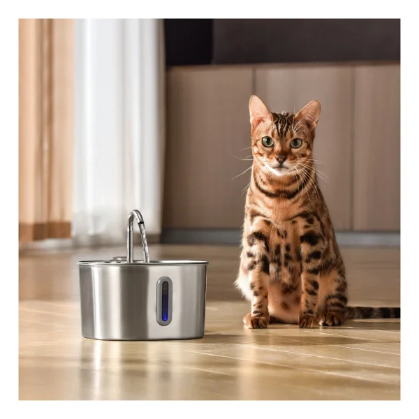 2.2 lt Kedi Su Pınarı - Görsel 2