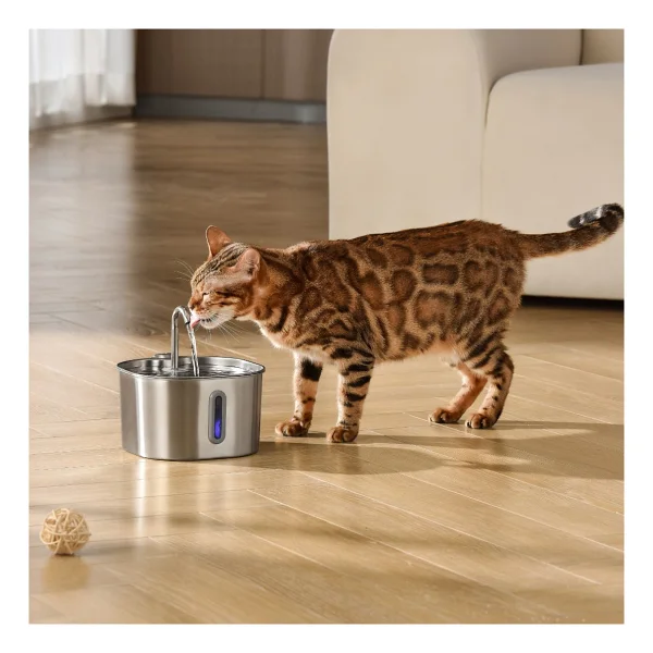2.2 lt Kedi Su Pınarı - Görsel 6