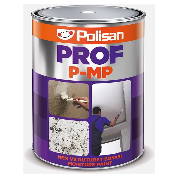 Polisan Prof P-Mp 1 Kg Nem ve Rutubet Boyası - Görsel 2