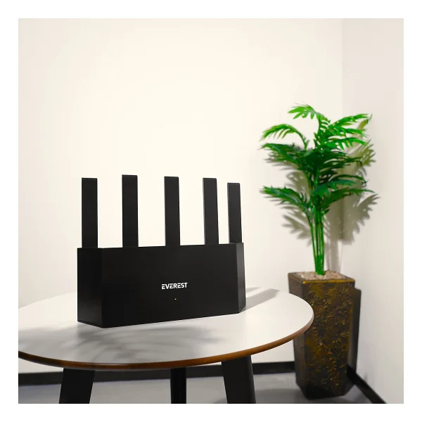 Everest EWR-X3000-V1 4 Port 3000 Mbps Router - Görsel 10