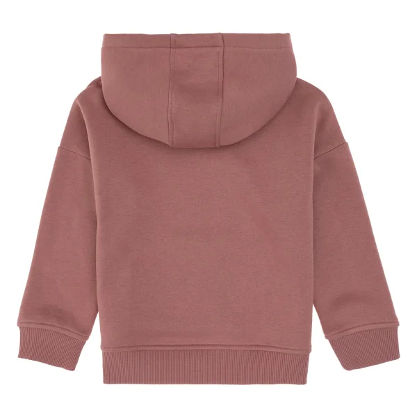 U.S. Polo Assn 50314304-VR221 Kapüşonlu Pembe Çocuk Sweatshirt - Görsel 2