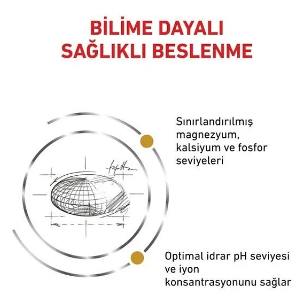 Royal Canin Veterinary Urinary S/O 7 kg Kedi Maması - Görsel 2