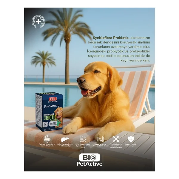 Bio Petactive Biotic Probiyotik Prebiyotik Büyük Orta Irk Köpek 60 Tablet - Görsel 2