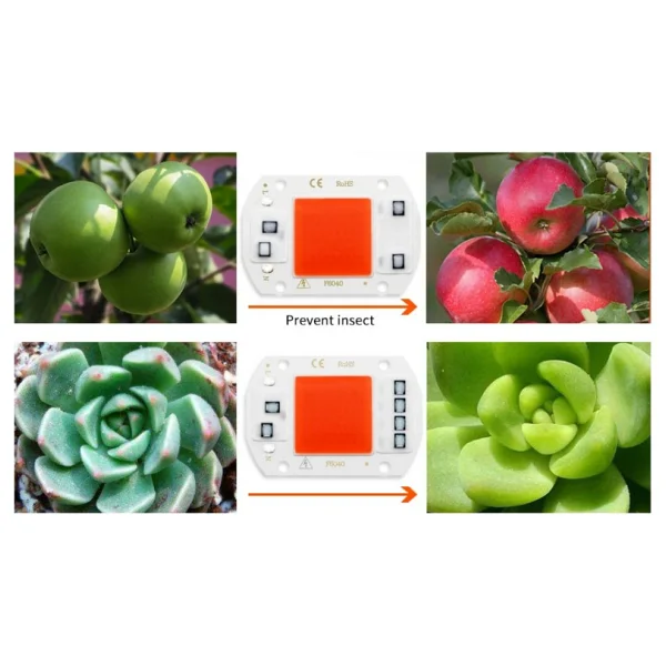 220V 50W Grow Led Full Spectrum Cob Led (Bitki Yetiştirme Ledi) - Görsel 2
