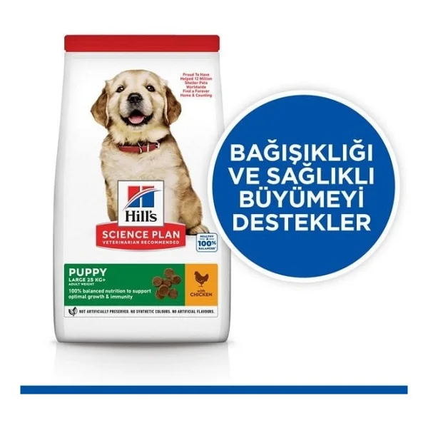 Hill's Puppy Healthy Development Tavuklu 2.5 kg Büyük Irk Yavru Köpek Maması - Görsel 2
