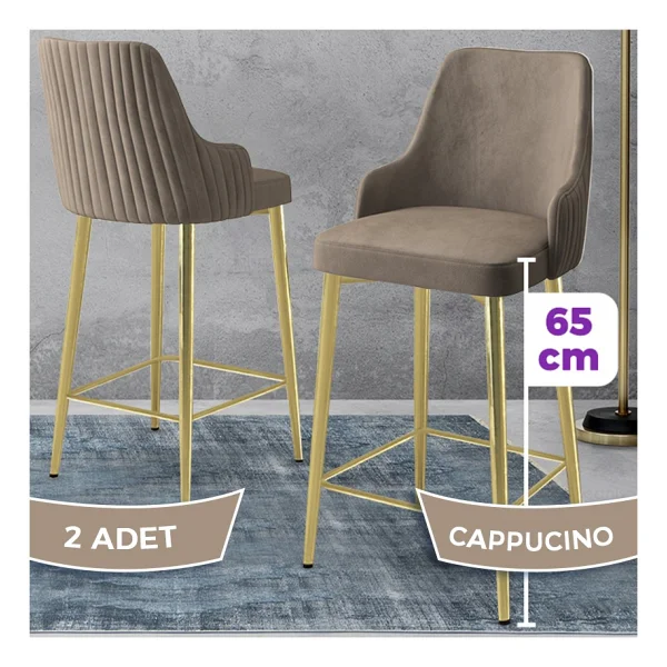 Canisa Tera Serisi 2 Adet Babyface Kumaş 65 cm Gold Kaplama Ayaklı Bar Sandalyesi - Lacivert - Görsel 9