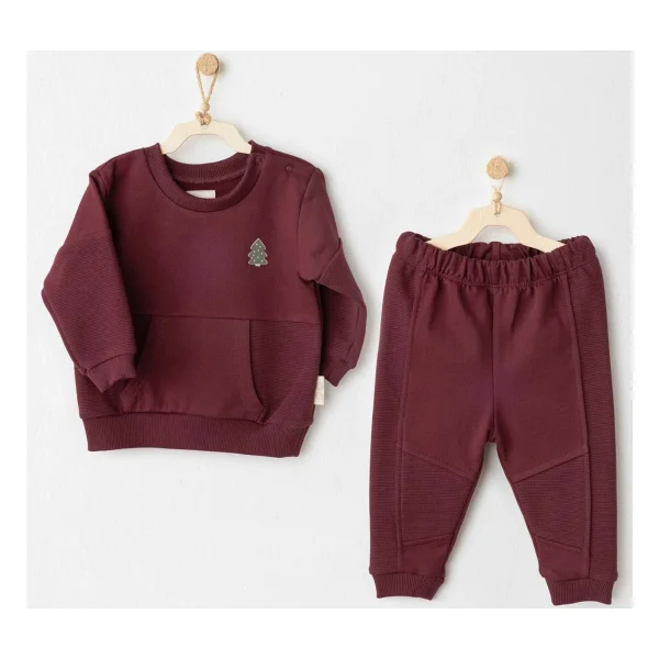 AndyWawa My 1 St Wardrobe AC26187 Bordo 2'li Erkek Bebek Takımı - Görsel 3