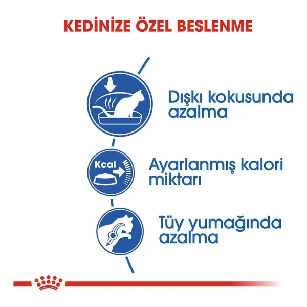 Royal Canin Indoor 27 2 kg Yetişkin Kedi Maması - Görsel 6