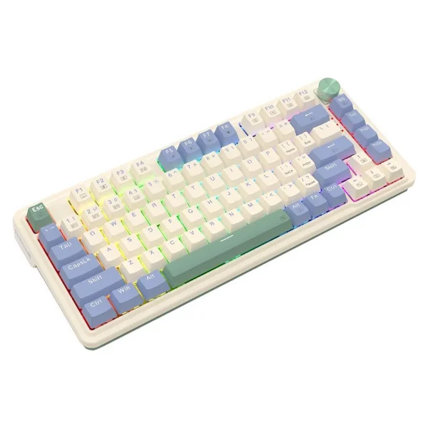 Redragon Ucal K673 Pro RGB %75 TKL Red Switch Kablolu/Kablosuz Mekanik Oyuncu Klavyesi - Görsel 3