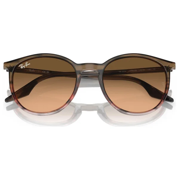 Ray-Ban 2204 Güneş Gözlüğü - Görsel 6