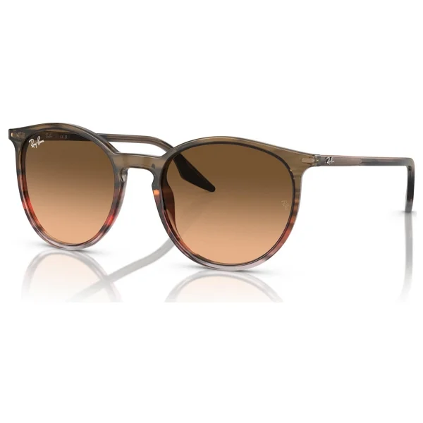 Ray-Ban 2204 Güneş Gözlüğü - Görsel 8