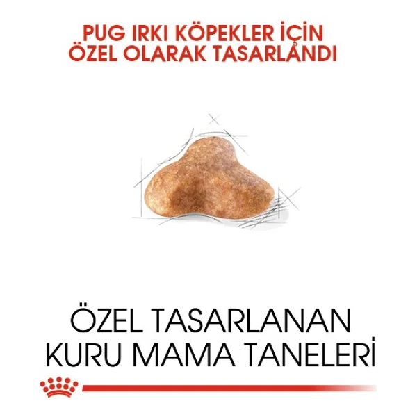 Royal Canin Pug Adult 1.5 kg Yetişkin Köpek Maması - Görsel 9