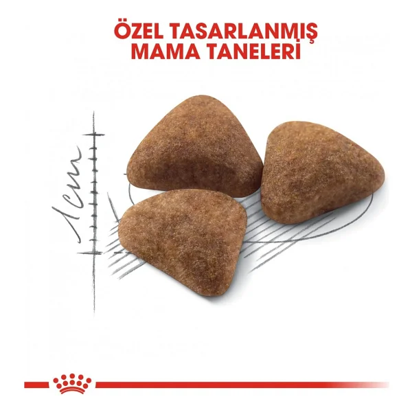 Royal Canin Indoor 27 400 gr Yetişkin Kedi Maması - Görsel 4