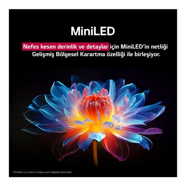 LG 65QNED9MA6B 4K Ultra HD 65" 165 Ekran Uydu Alıcılı webOS Smart QNED Evo Mini LED TV - Görsel 8