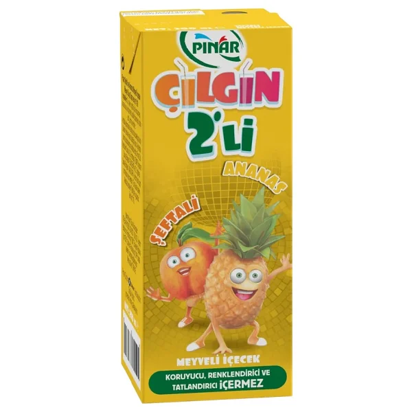 Pınar Çılgın İkili Şeftali & Ananas Meyve Suyu 200 ml 27'li - Görsel 5
