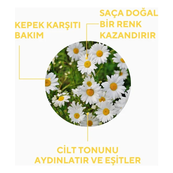 The Ceel Saf Papatya Suyu 100 ml Saç Toniği - Görsel 4