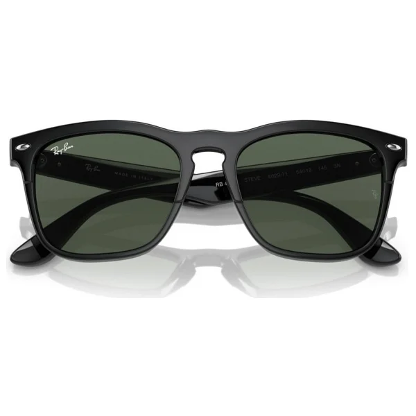 Ray-Ban Steve 4487 Güneş Gözlüğü - Görsel 2
