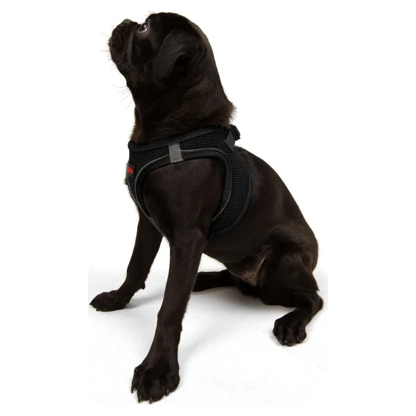 Tailpetz Air Mesh Harness XL Siyah Köpek Gögüs Tasması - Görsel 5