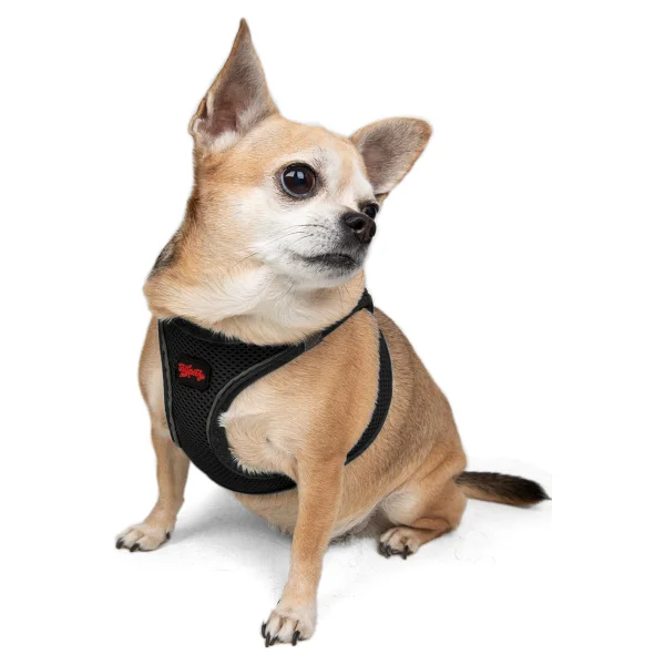 Tailpetz Air Mesh Harness XL Siyah Köpek Gögüs Tasması - Görsel 6
