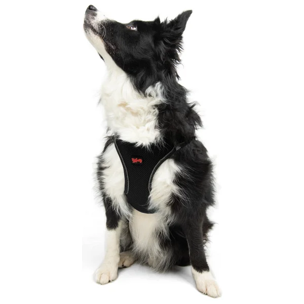 Tailpetz Air Mesh Harness XL Siyah Köpek Gögüs Tasması - Görsel 7