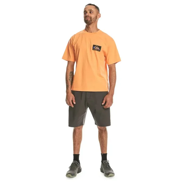 Quiksilver Back Flash EQYZT07605 Kısa Kollu Bisiklet Yaka Erkek Tişört - Görsel 3