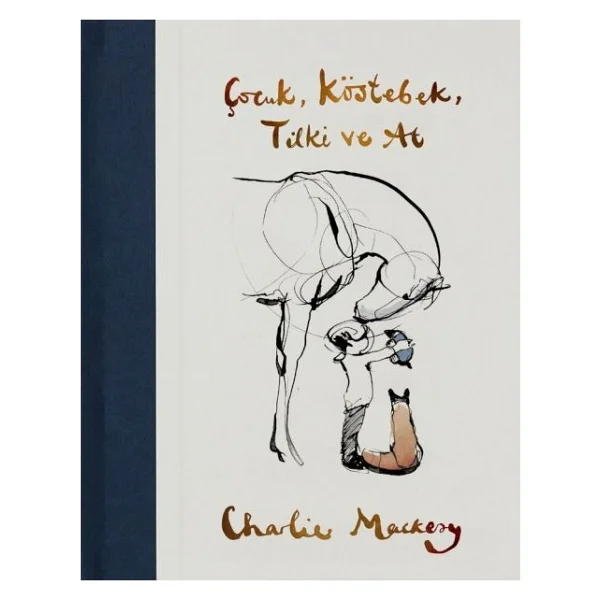 Çocuk, Köstebek, Tilki ve At - Charlie Mackesy - Görsel 3