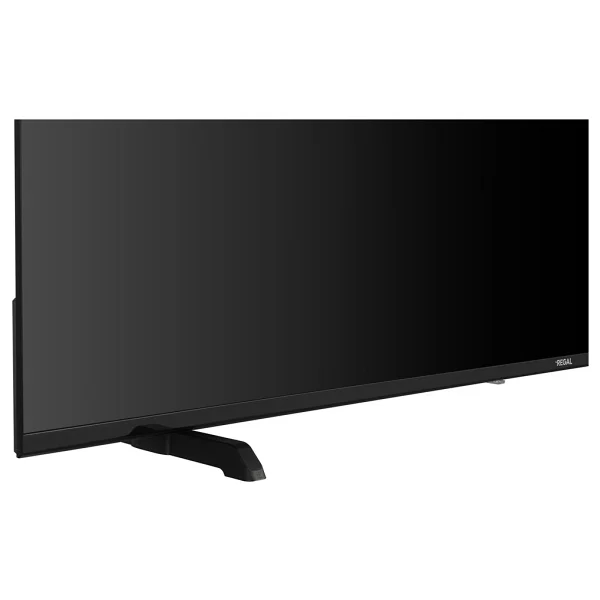 Regal 65V01900 4K Ultra HD 65" 165 Ekran Uydu Alıcılı Smart LED TV - Görsel 3